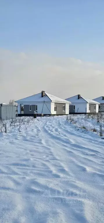 Дом в Пензенская область, с. Бессоновка  (80 м) - Фото 1