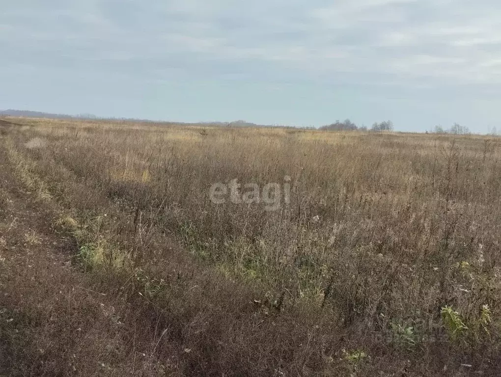 Участок в Липецкая область, Грязинский район, Плехановский сельсовет, ... - Фото 1