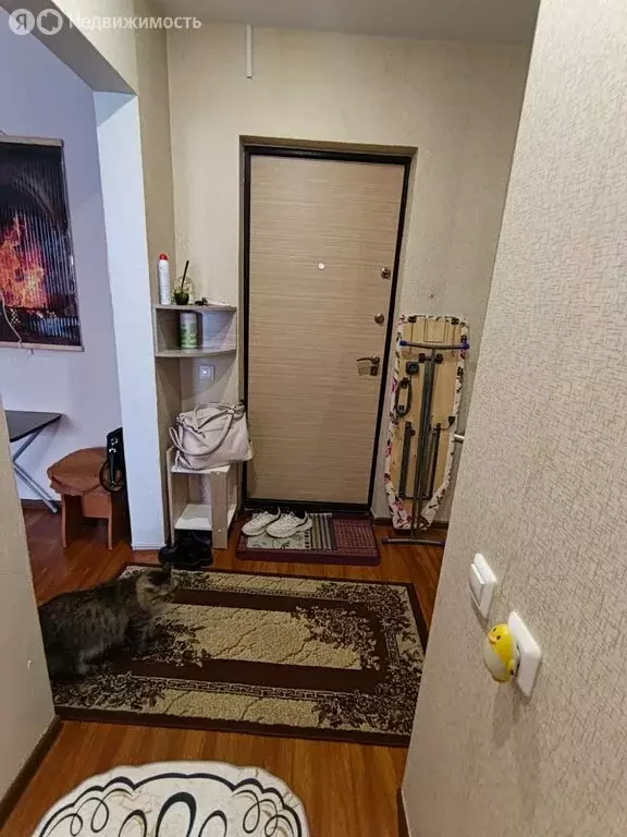 1-комнатная квартира: Барнаул, улица Беляева, 21 (30.7 м) - Фото 1