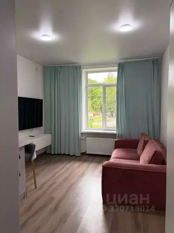 1-к кв. Санкт-Петербург остров Канонерский, 17 (20.0 м) - Фото 1