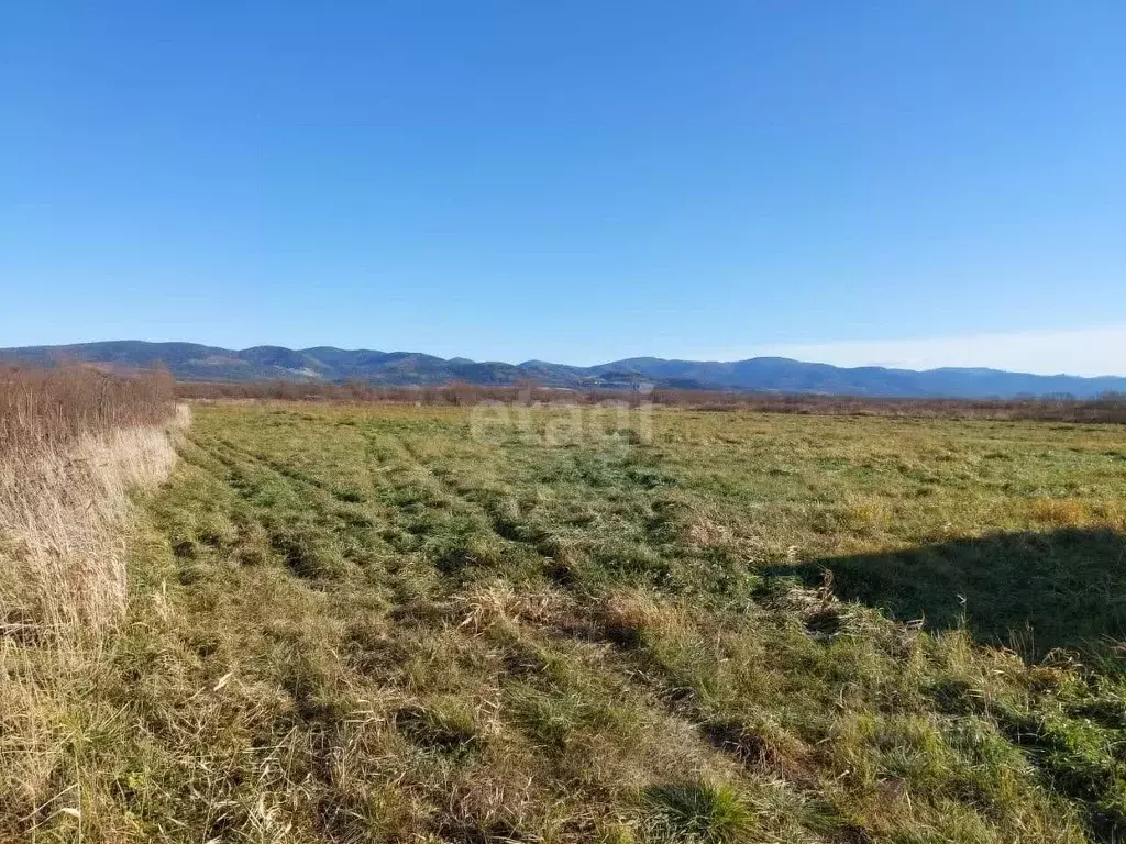 Участок в Сахалинская область, Долинский городской округ, с. Сокол  ... - Фото 0