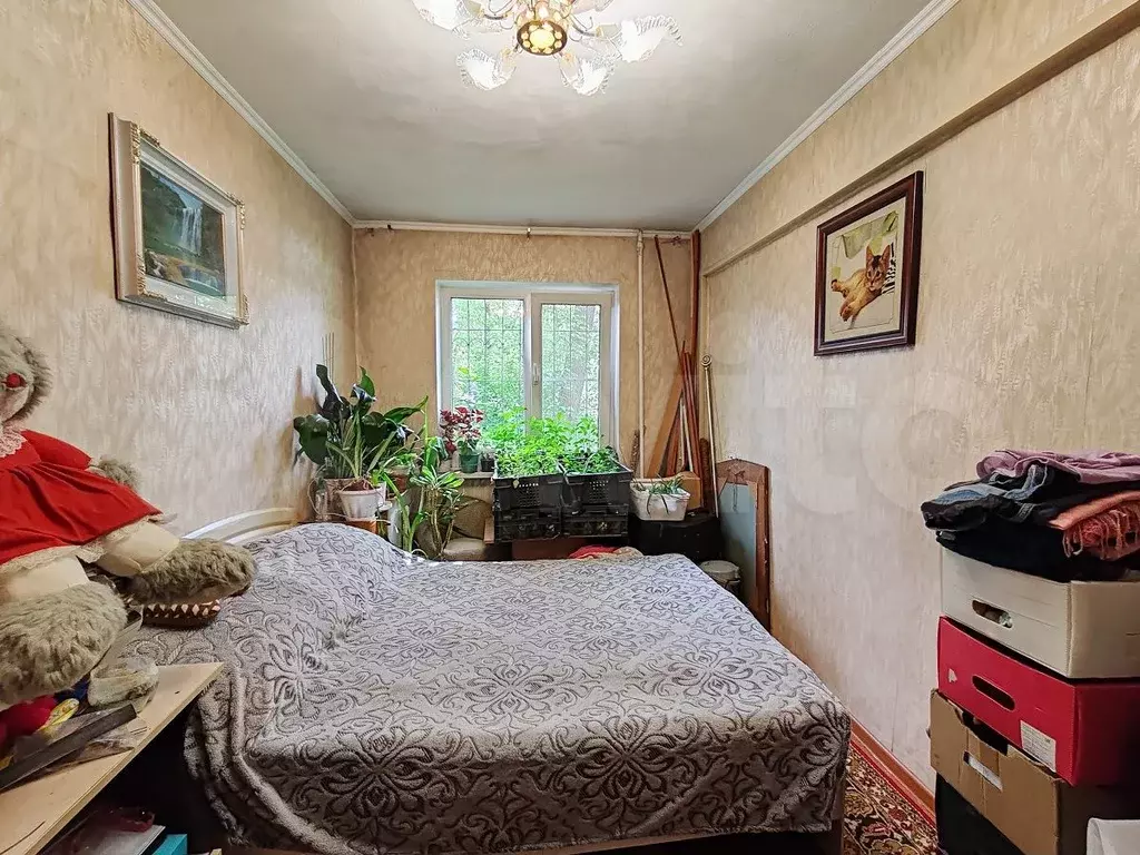 3-к. квартира, 55 м, 1/1 эт. - Фото 1