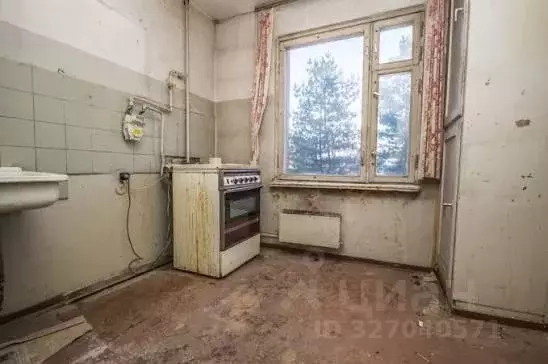 1-к кв. Нижегородская область, Кулебаки Парковая ул., 13 (21.0 м) - Фото 1