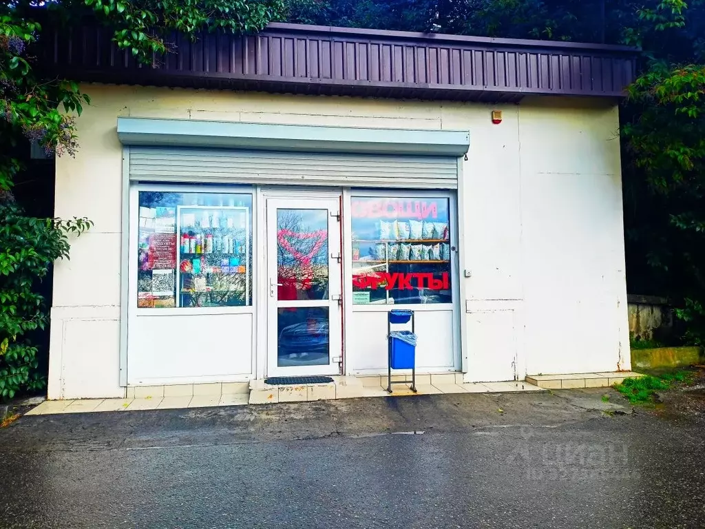 Торговая площадь в Краснодарский край, Сочи Макаренко СНТ, 33/3Б (50 ... - Фото 1