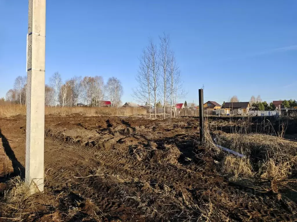 Участок в Тюменская область, Нижнетавдинский муниципальный округ, У ... - Фото 1