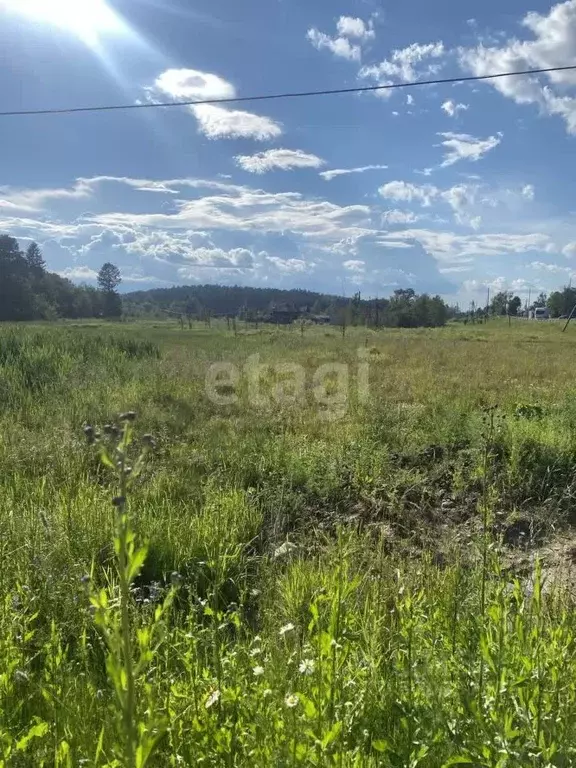 Участок в Костромская область, Судиславль пгт ул. Восточная (14.6 ... - Фото 2