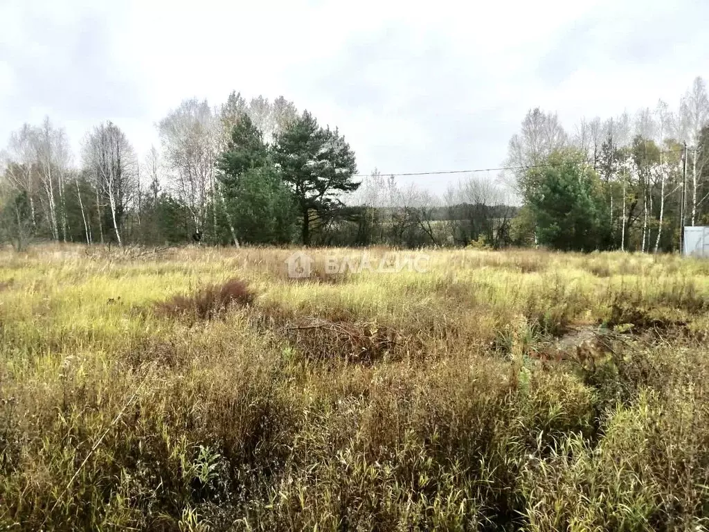 Участок в Московская область, Раменский городской округ, д. Дементьево ... - Фото 0