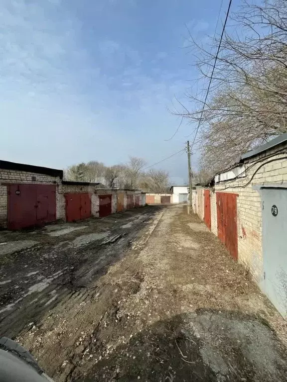 Гараж в Калужская область, Калуга ГК Горизонталь тер., 82 (24 м) - Фото 0