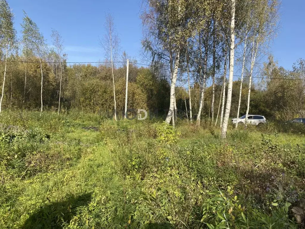 Участок в Ярославская область, Ярославский муниципальный округ, д. ... - Фото 2