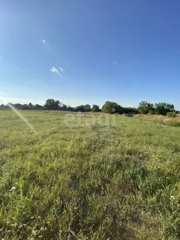 Участок в Краснодарский край, Ейский район, Александровское с/пос, ... - Фото 2