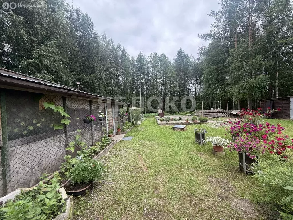 Участок в Пермский край, Александровский муниципальный округ, рабочий ... - Фото 1