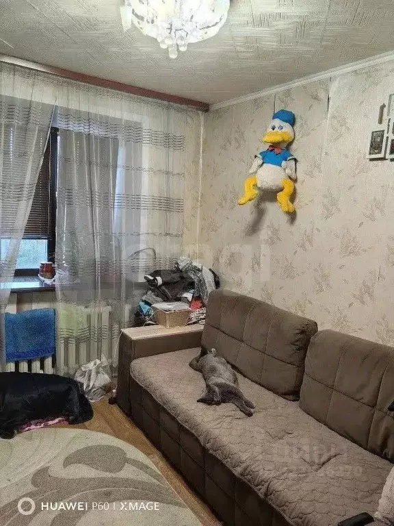 Комната Пермский край, Пермь ул. Героя Васькина, 11 (17.9 м) - Фото 1