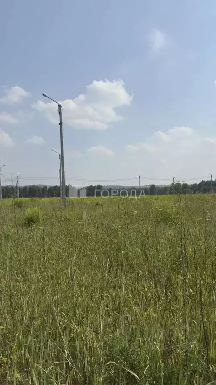 Участок в Новосибирская область, Тогучинский район, Горный рп  (11.92 ... - Фото 1