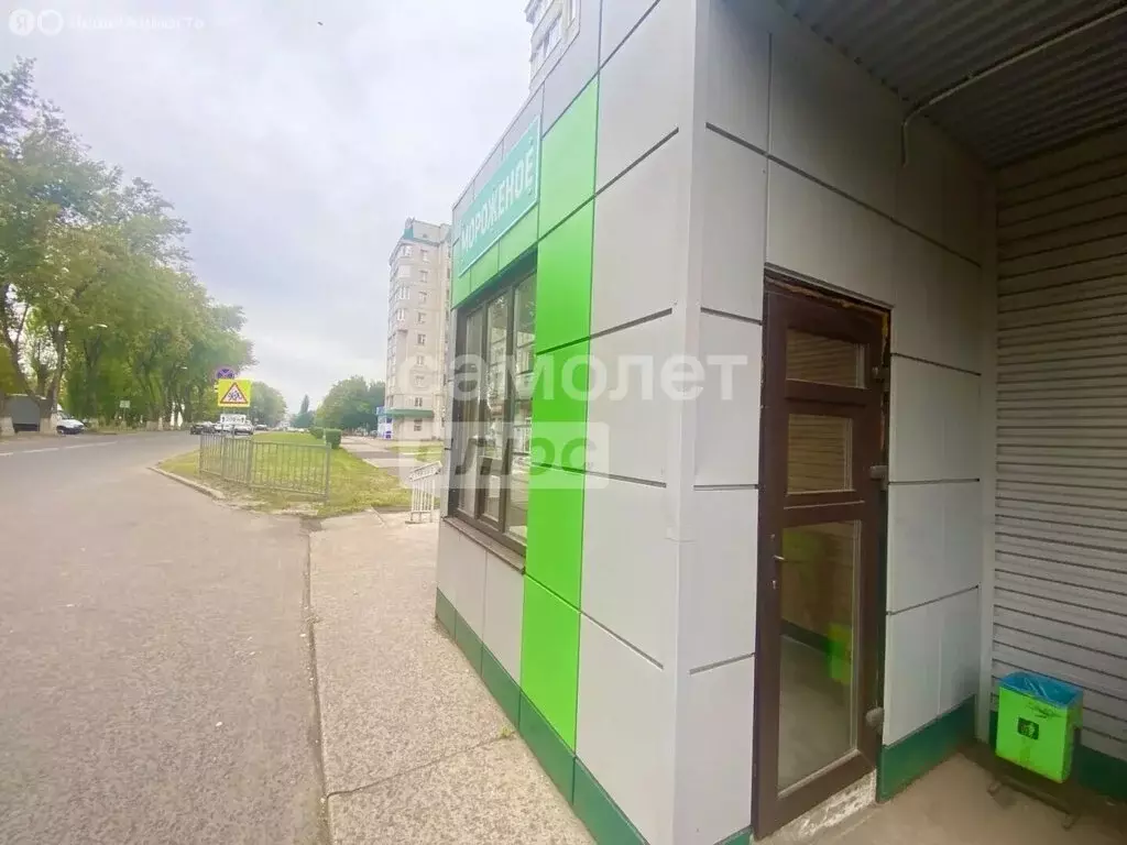 Помещение свободного назначения (12 м) - Фото 2