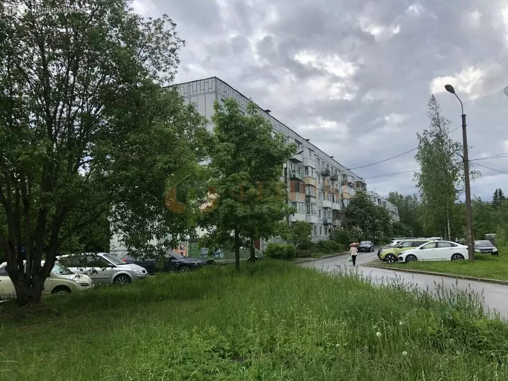 1-комнатная квартира: посёлок Осельки, 111 (31.6 м) - Фото 1