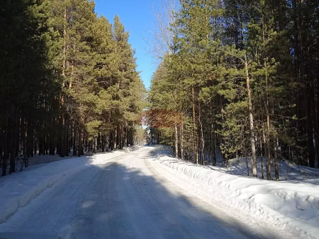 Дом в Тюменская область, Тюменский район, Вишенка СНТ  (48 м) - Фото 2