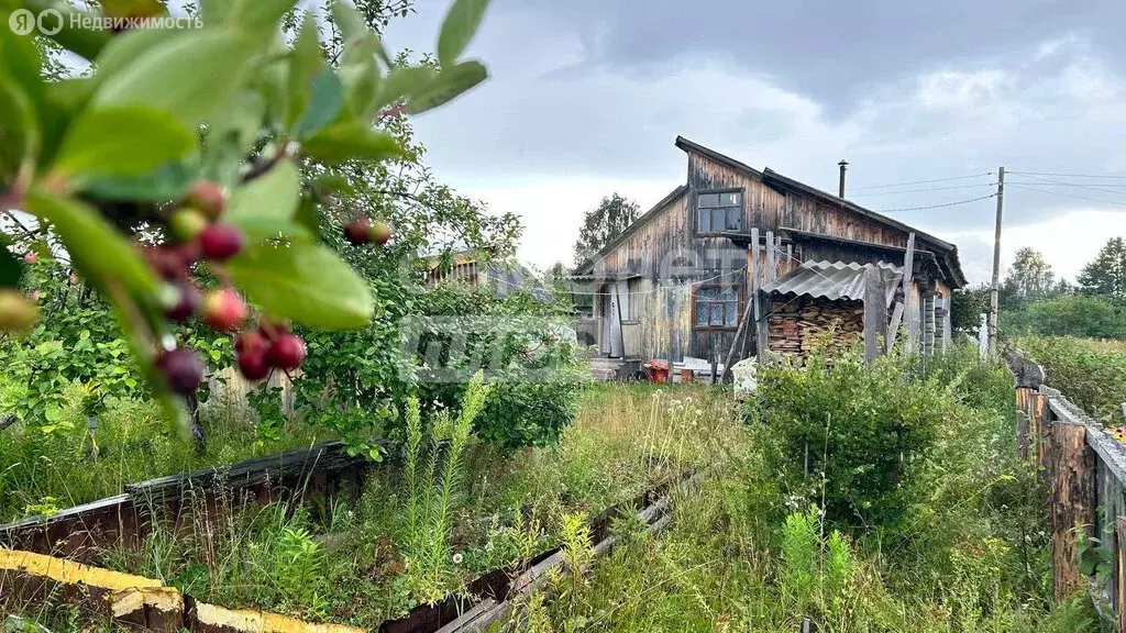 Дом в Завьяловский район, СДТ Постольский (50 м) - Фото 1