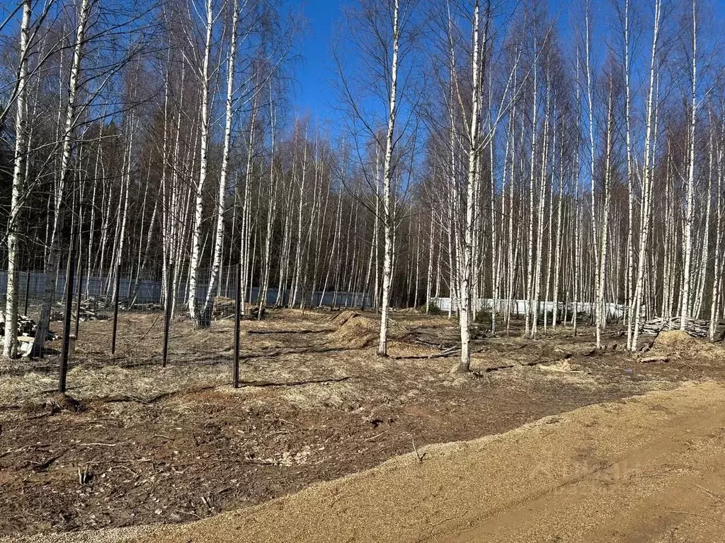 Участок в Московская область, Мытищи городской округ, д. Протасово, д. ... - Фото 1
