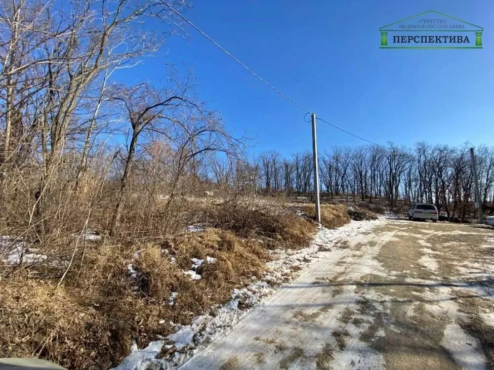 Участок в Приморский край, Артем Дубки-3 садовое товарищество,  (10.0 ... - Фото 0