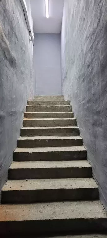 Помещение свободного назначения в Свердловская область, Екатеринбург ... - Фото 2