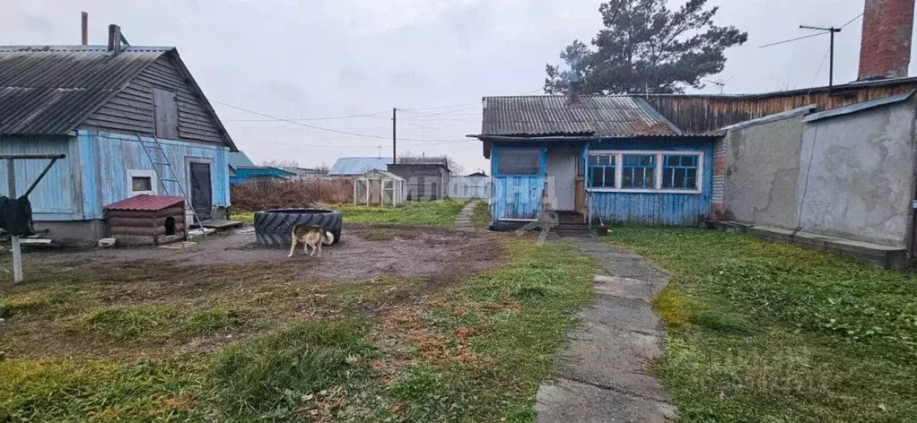 Участок в Новосибирская область, Новосибирский район, с. Криводановка ... - Фото 1