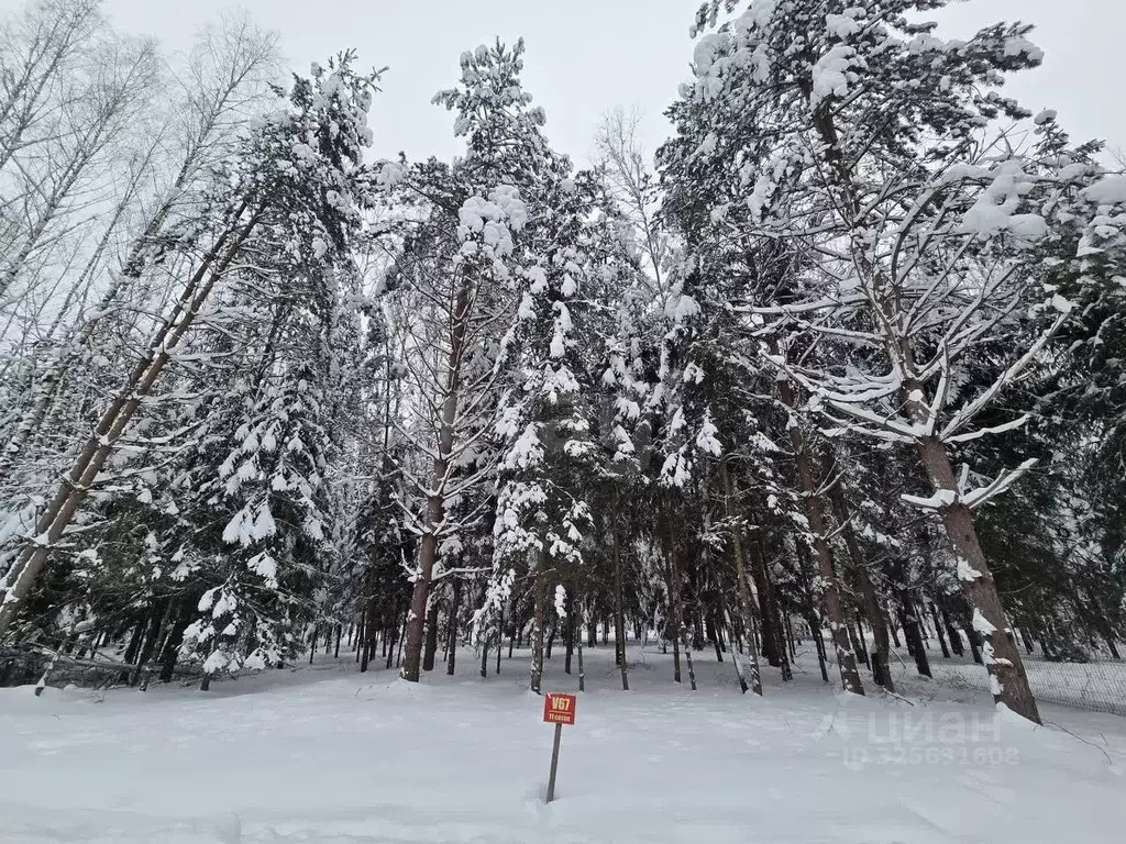 Участок в Московская область, Ступино городской округ, Шелково Форест ... - Фото 2
