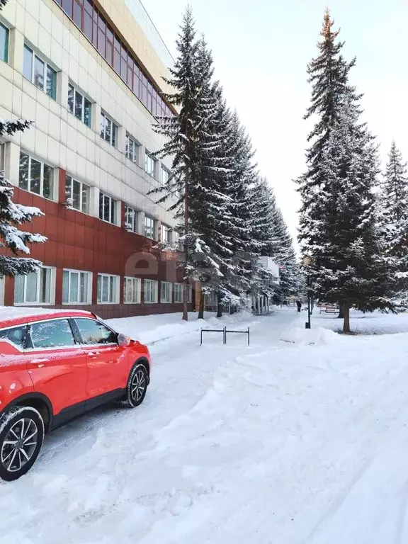 2-к кв. Иркутская область, Иркутск ул. Сергеева, 5/8 (58.7 м) - Фото 0