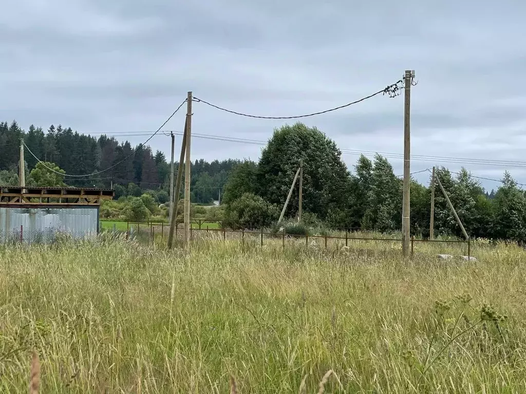 участок в ленинградская область, приозерский район, мельниковское . - Фото 0