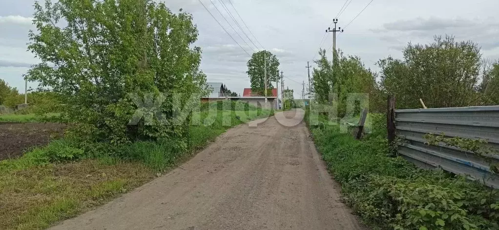 Участок в Новосибирская область, Мошковский район, с. Сокур Рабочая ... - Фото 1
