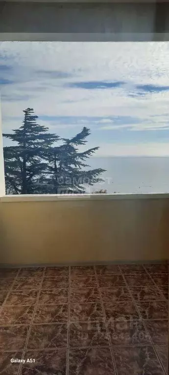 Студия Крым, Ялта муниципальный округ, Симеиз пгт ул. Владимира ... - Фото 1