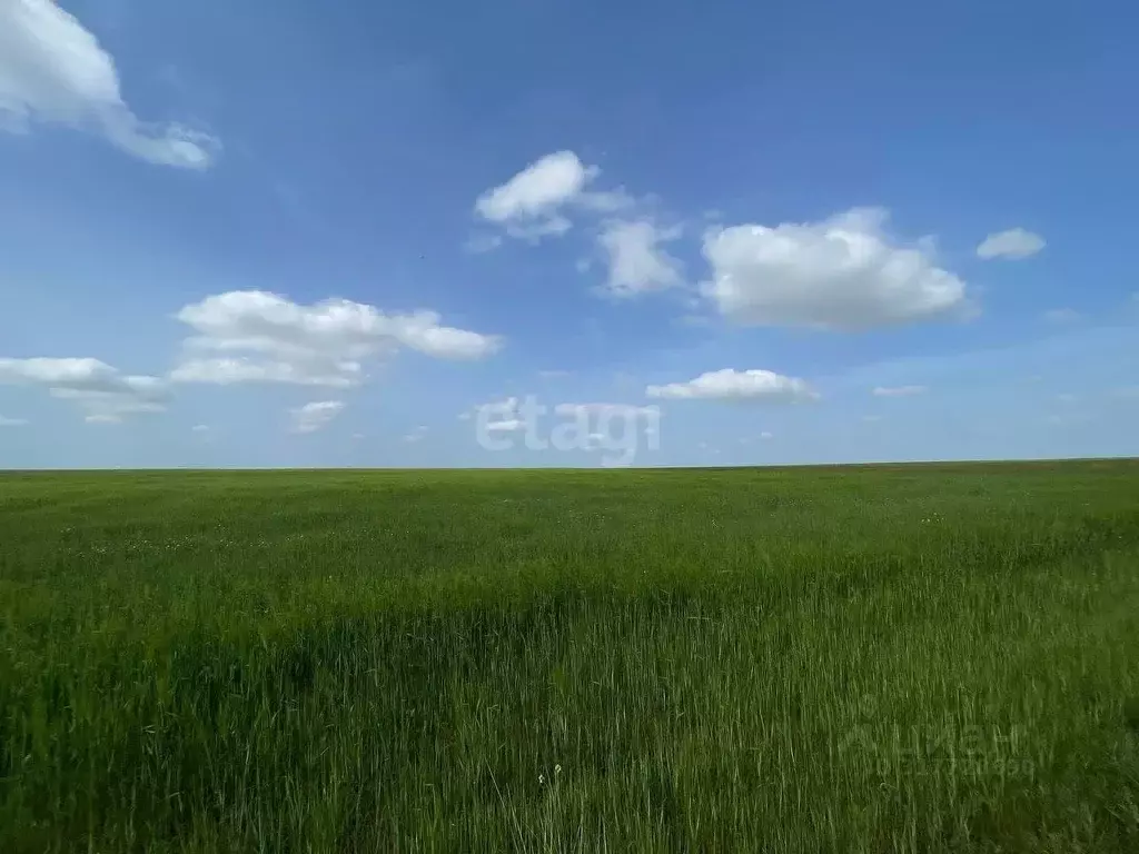 Участок в Крым, Симферопольский район, с. Трудовое ул. Зеленая (291.2 ... - Фото 1