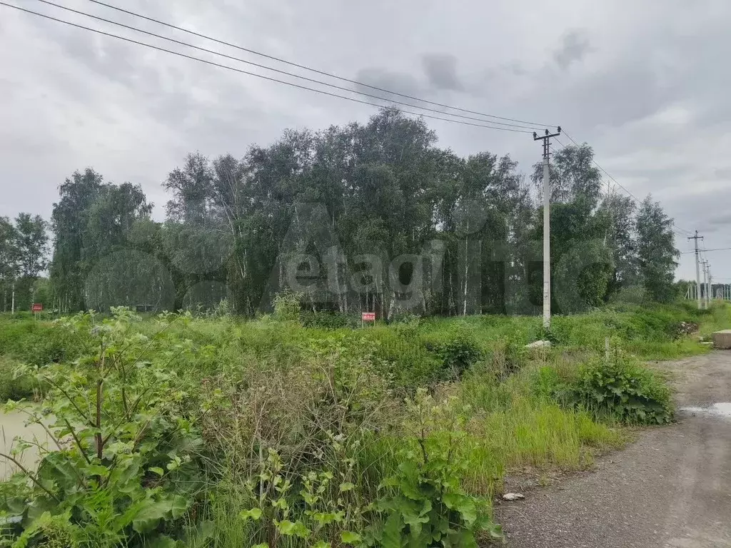 Участок 10 сот. (СНТ, ДНП) - Фото 1