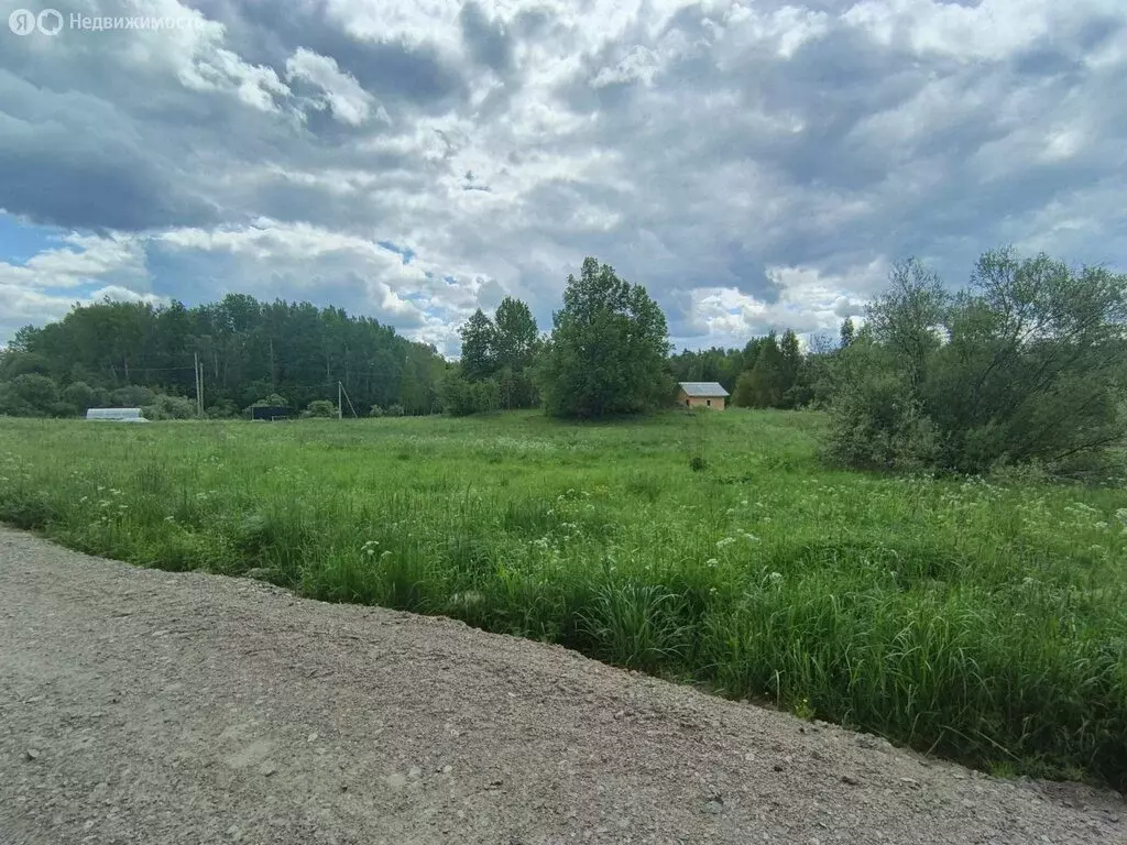 Участок в Приозерский район, Мельниковское сельское поселение, деревня ... - Фото 2