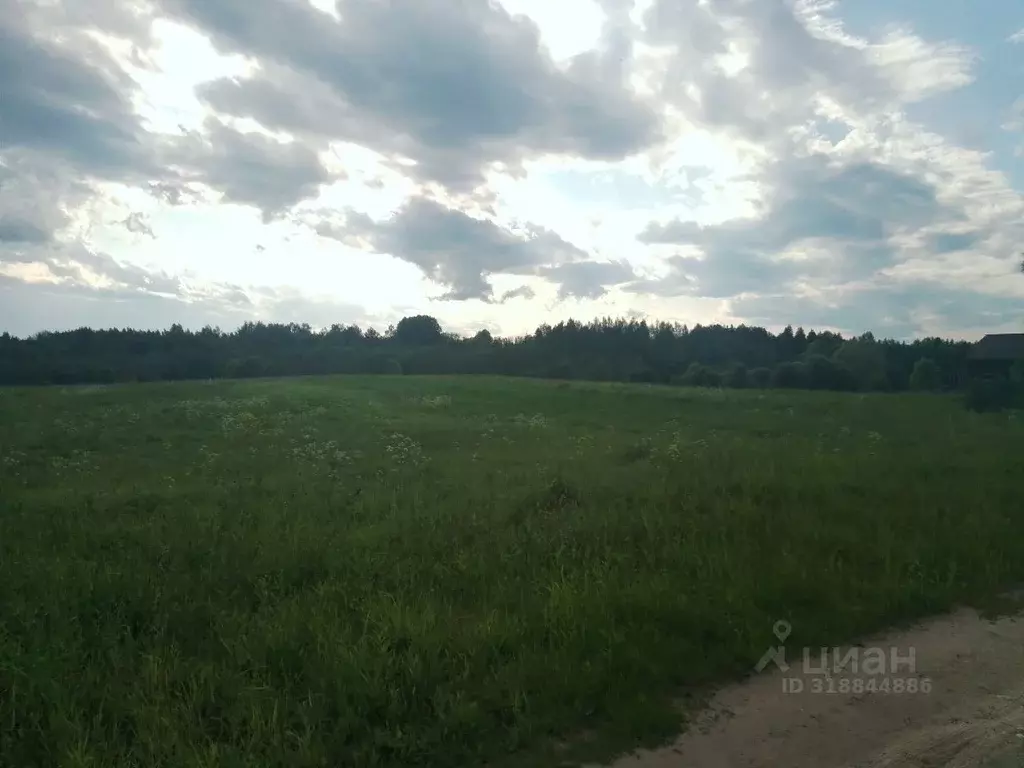 Участок в Новгородская область, Мошенской муниципальный округ, д. ... - Фото 1