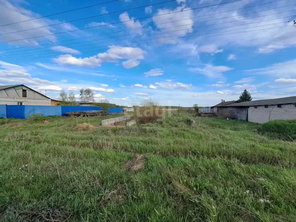 участок в тюменская область, ишимский район, д. ваньковка молодежная . - Фото 1