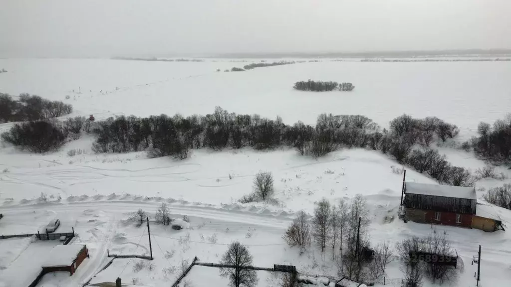 Участок в Томская область, Томский район, Заречное с/пос, д. Черная ... - Фото 1