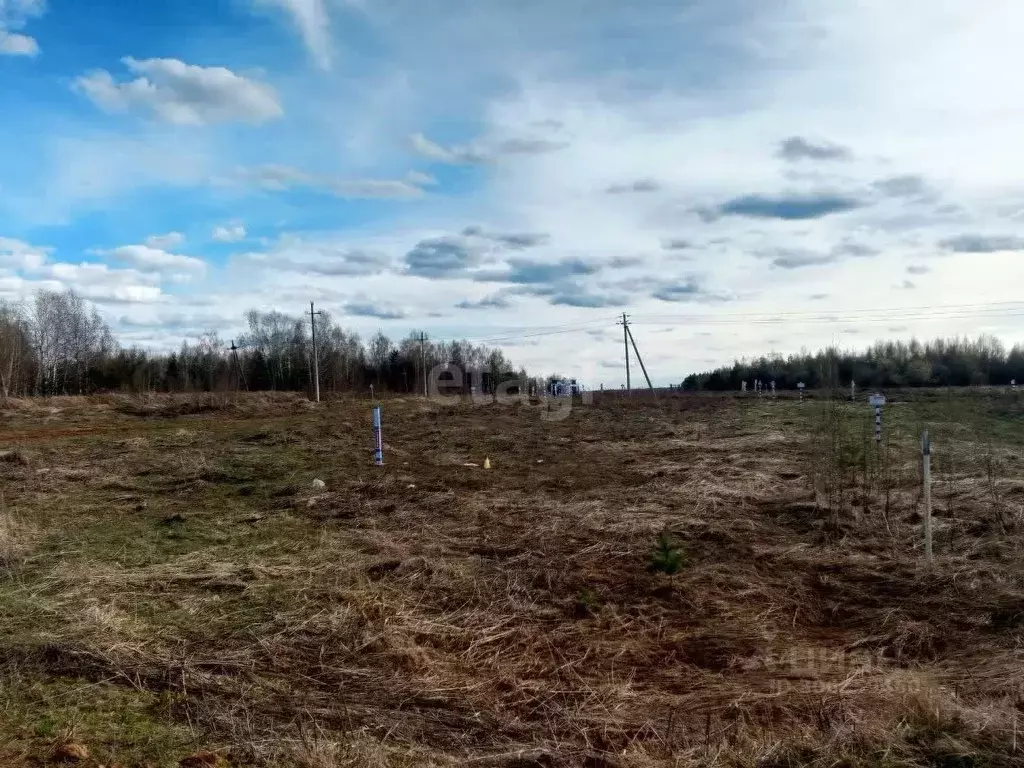 Участок в Нижегородская область, Богородский муниципальный округ, д. ... - Фото 1