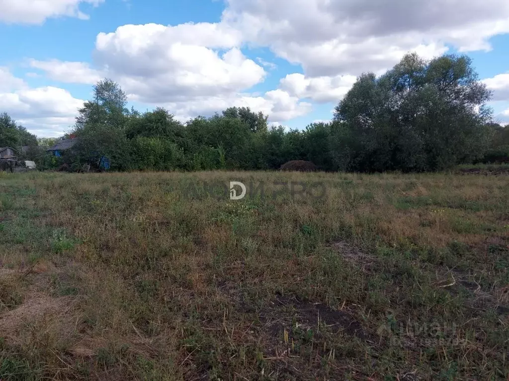 Участок в Воронежская область, Нижнедевицкий район, Вязноватовское ... - Фото 0