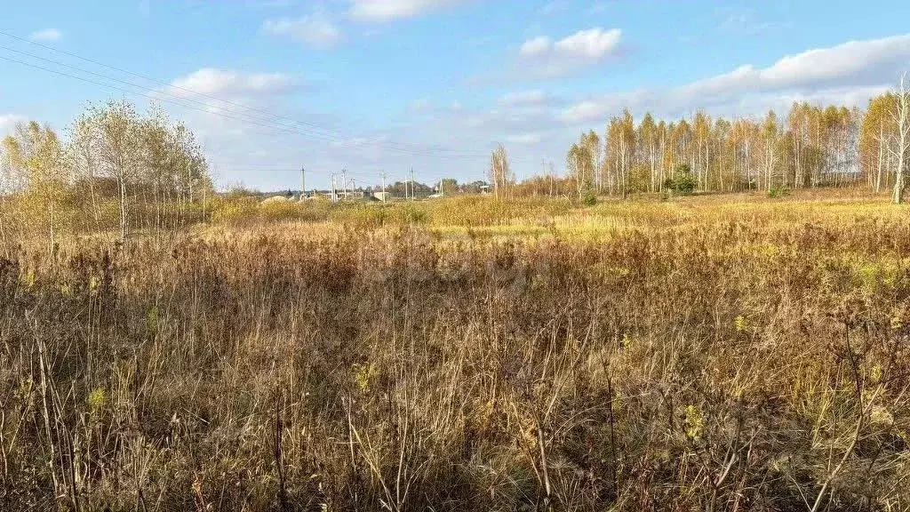 Участок в Московская область, Ступино городской округ, с. Ивановское  ... - Фото 0