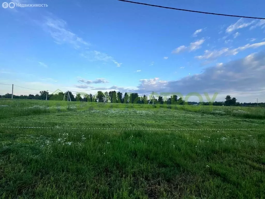Участок в Новосибирский район, Морской сельсовет, село Ленинское (5.3 ... - Фото 1