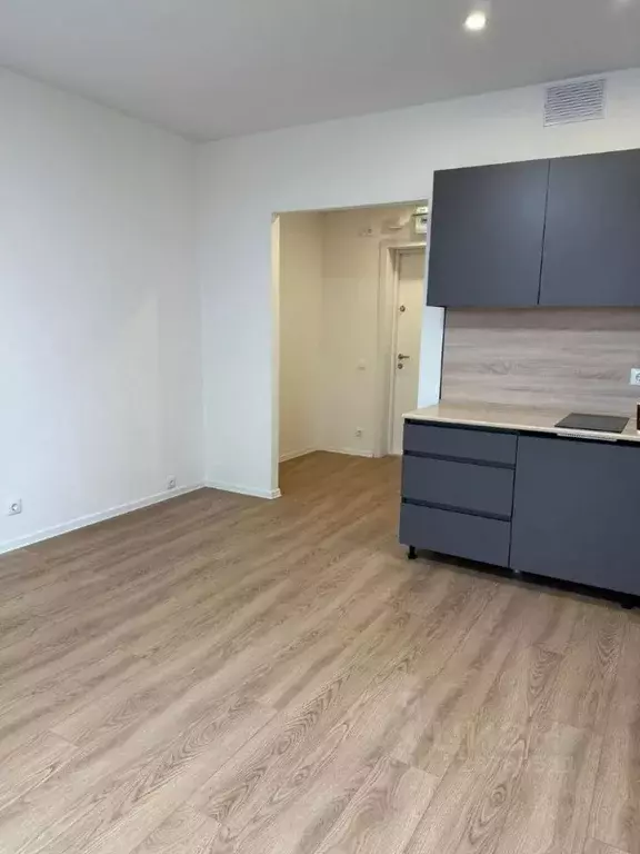 Студия Московская область, Одинцово ул. Березовая, 3 (23.3 м) - Фото 1