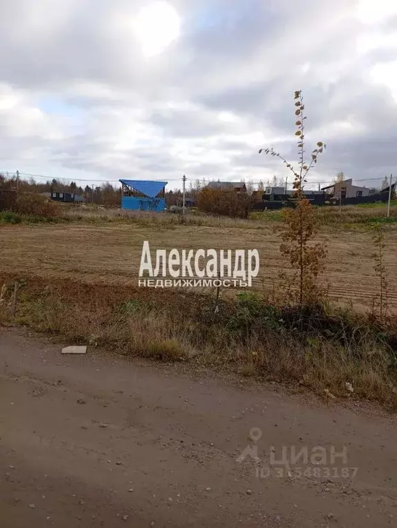 Участок в Ленинградская область, Всеволожский район, Лесколовское ... - Фото 2