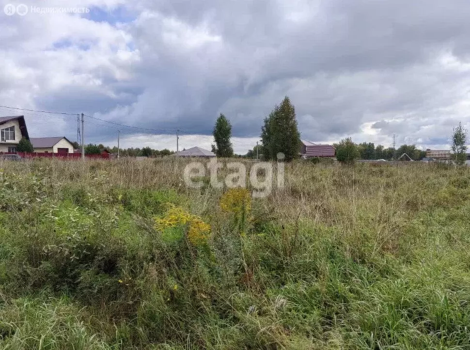 Участок в Искитимский район, село Морозово (9.3 м) - Фото 1