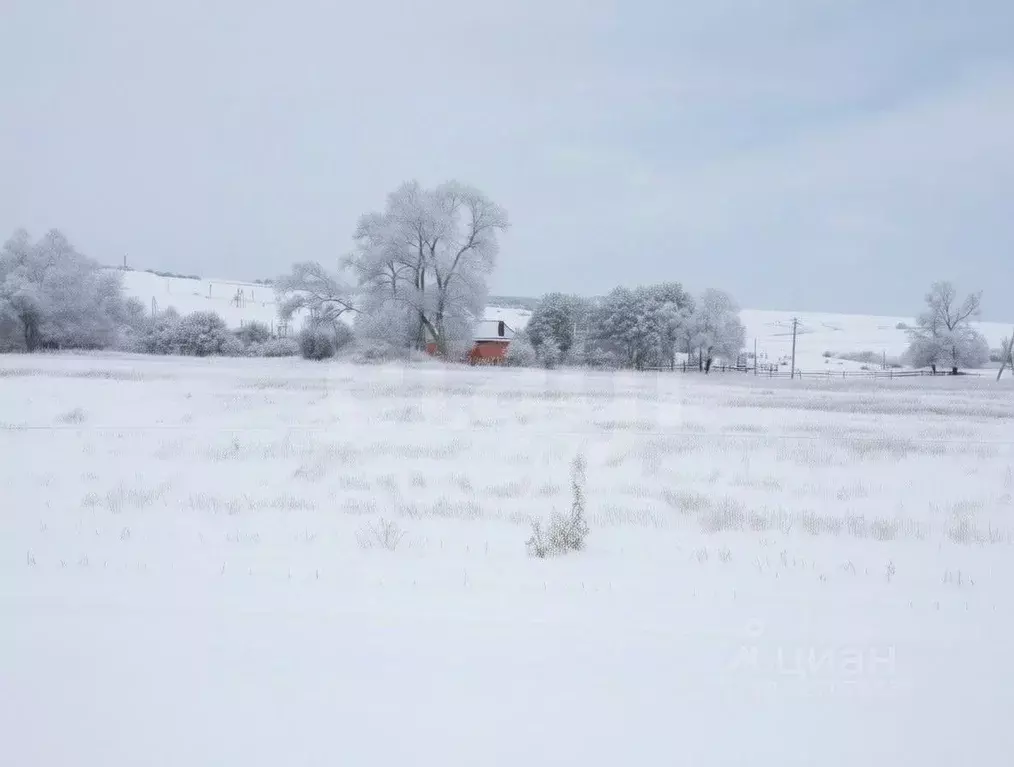 Участок в Тульская область, Новомосковск городской округ, д. Пушкари  ... - Фото 1