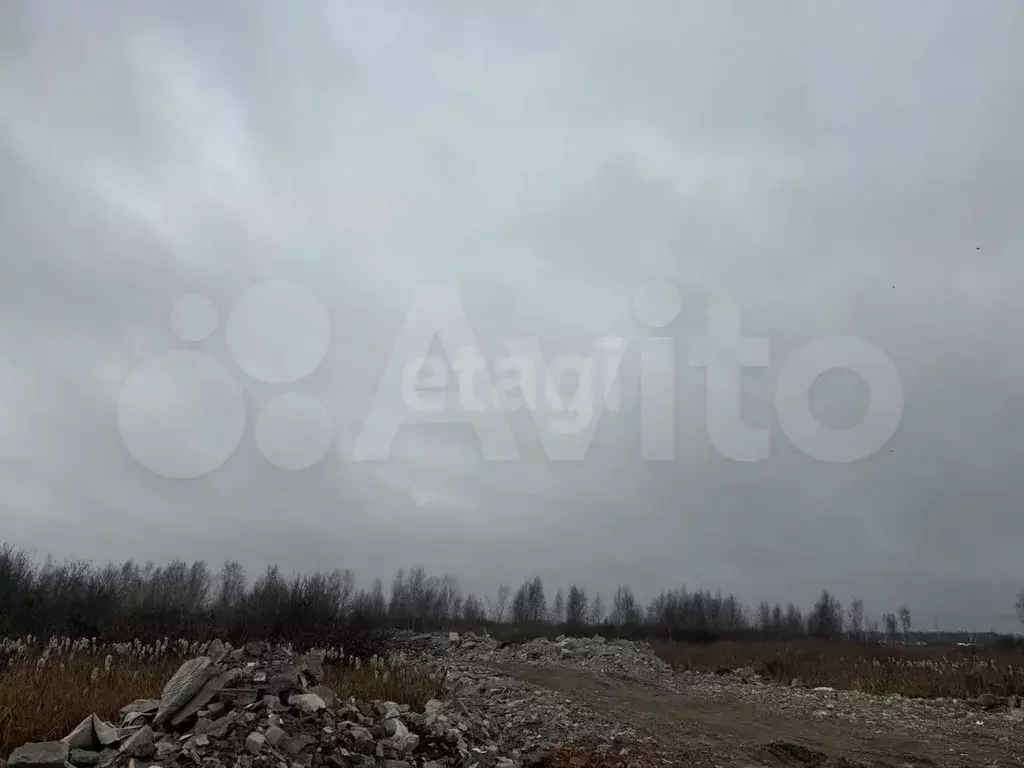Участок 12,5 сот. (промназначения) - Фото 0