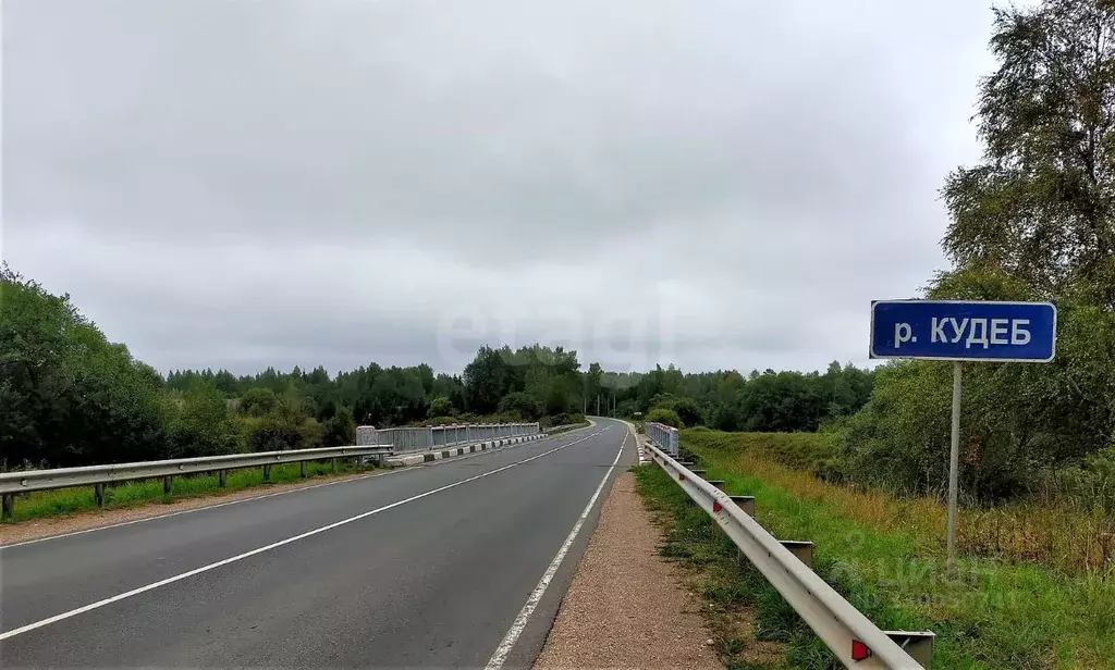 Участок в Псковская область, Палкинский муниципальный округ, д. ... - Фото 2