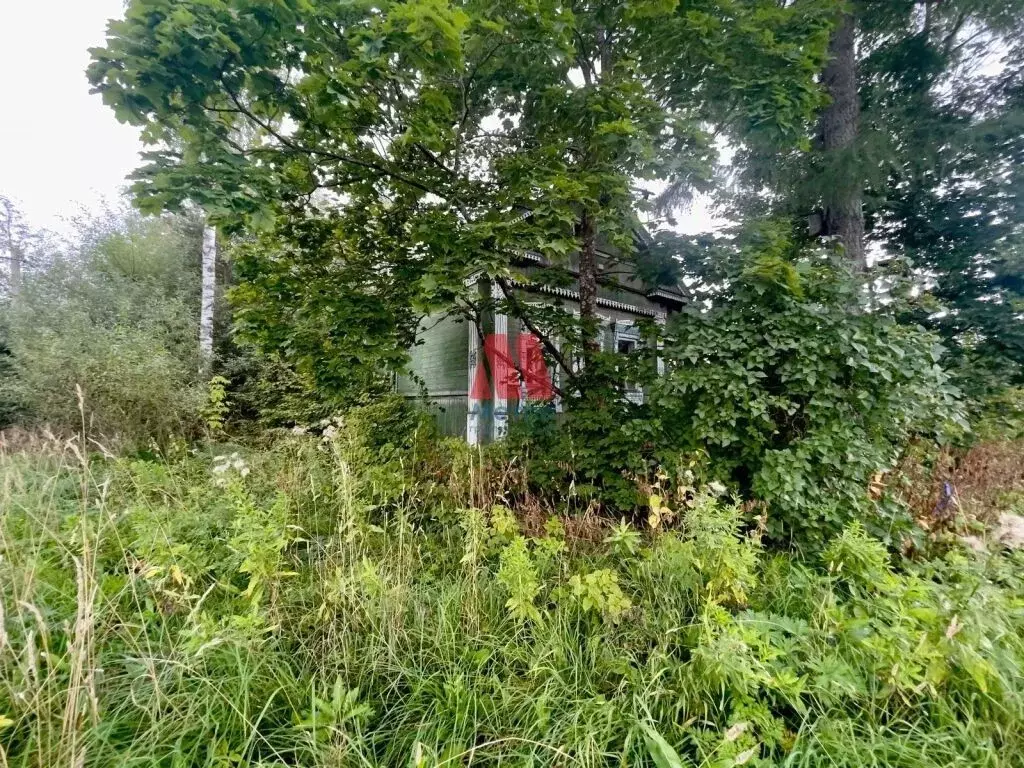 Участок в Ивановская область, Комсомольский район, Писцовское с/пос, ... - Фото 2