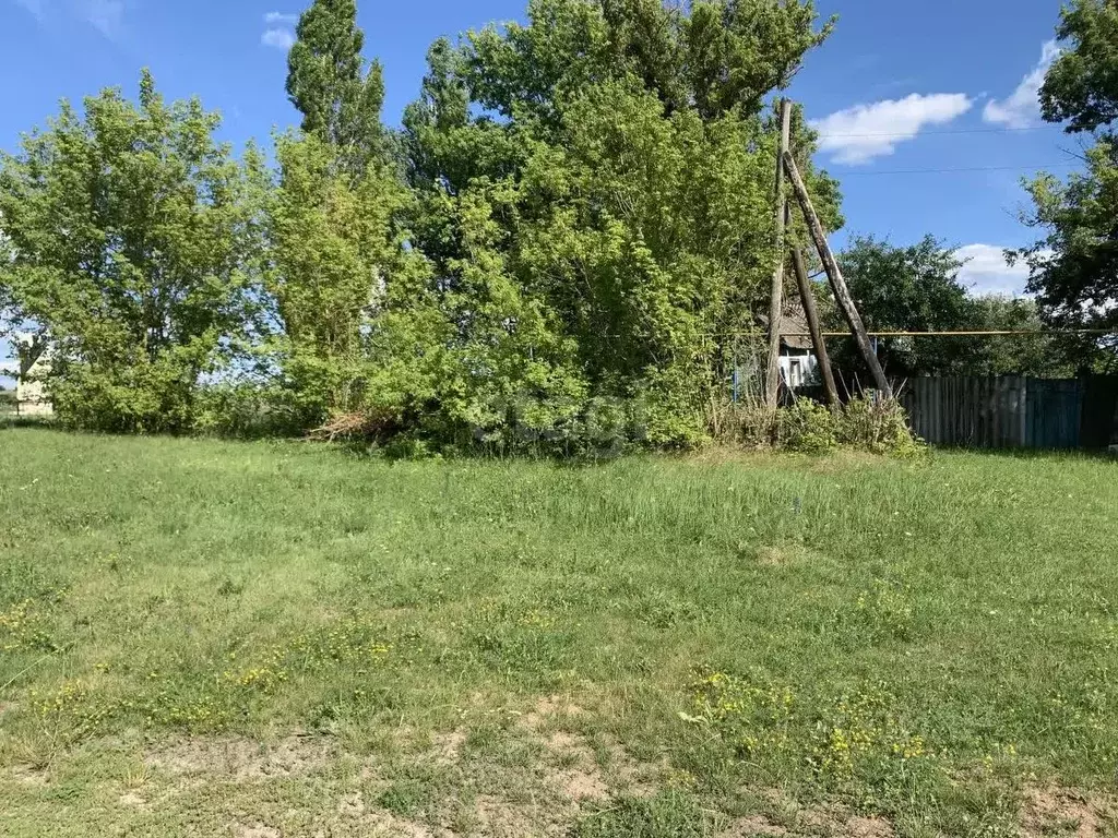 Участок в Белгородская область, Белгородский район, Беловское с/пос, ... - Фото 0