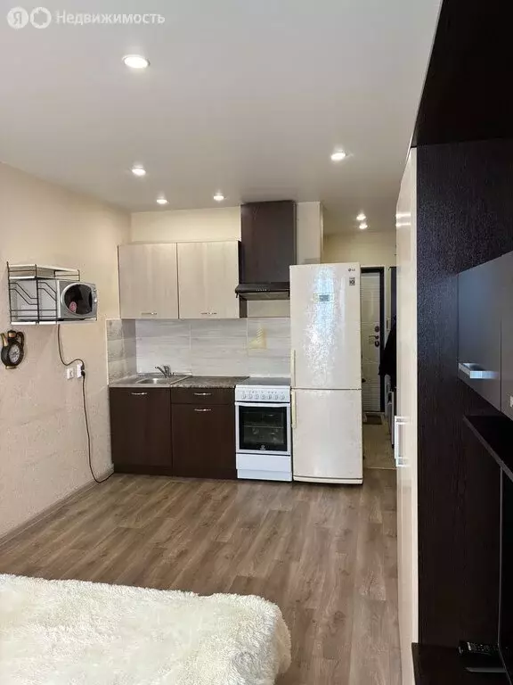 Квартира-студия: Новосибирск, улица Забалуева, 90 (24 м) - Фото 1