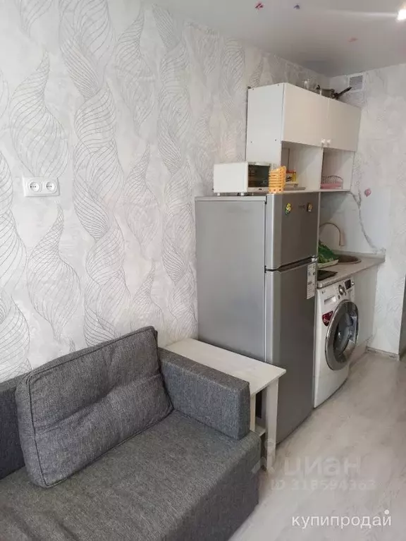 Студия Алтайский край, Барнаул ул. Эмилии Алексеевой, 90 (20.0 м) - Фото 1
